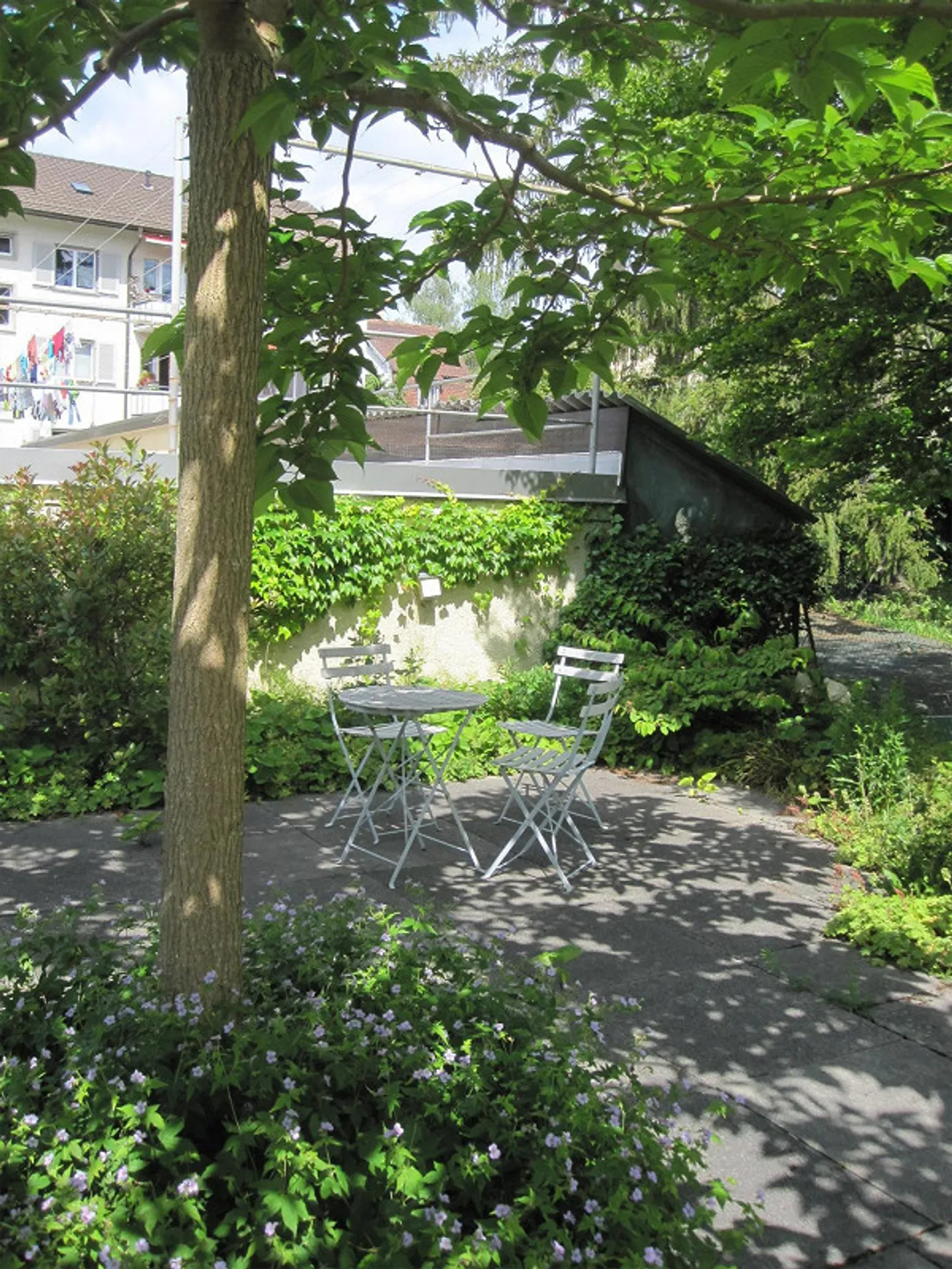 Living in a small renovated multi-family house in Veltheim - Photo 8 of 8