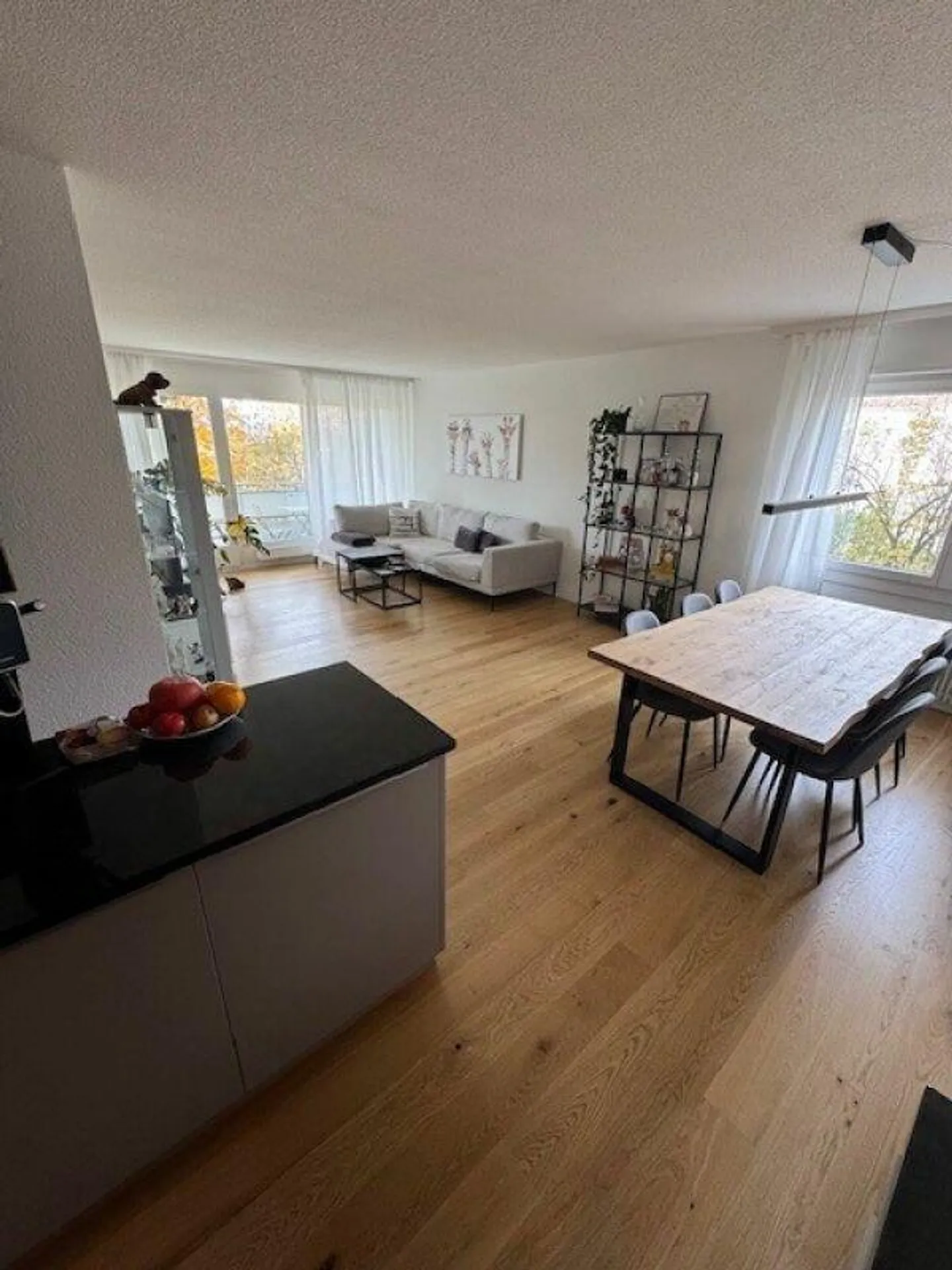 3.5 Room Apartment 1st Floor - Photo 3 of 11