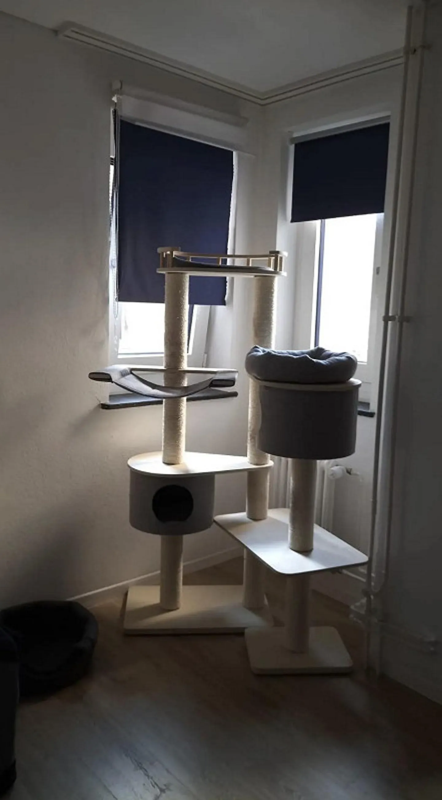Charmante 4.5 Zimmer Altbauwohnung mit Seeblick - Photo 7 of 15