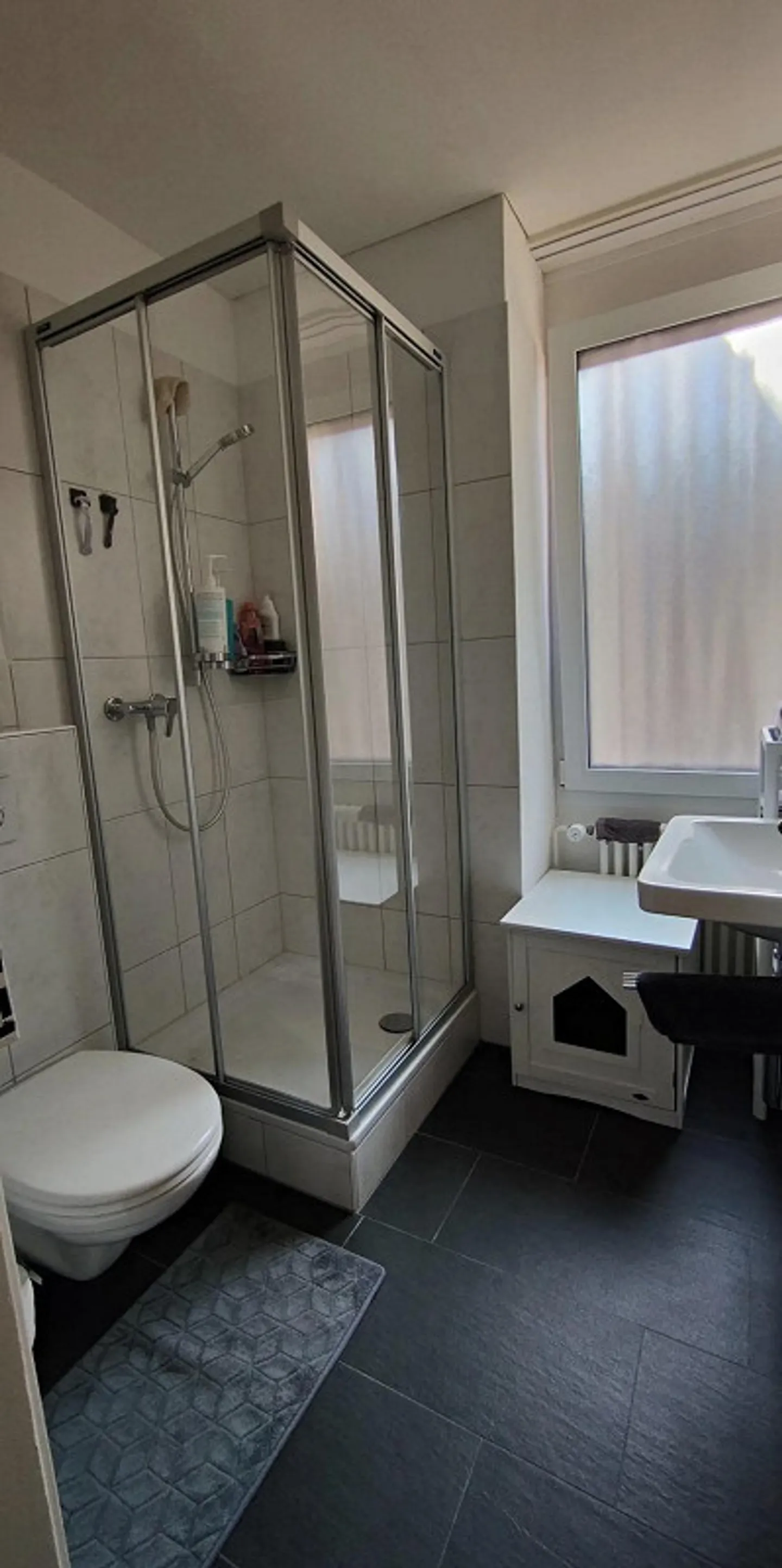 Charmante 4.5 Zimmer Altbauwohnung mit Seeblick - Photo 15 of 15