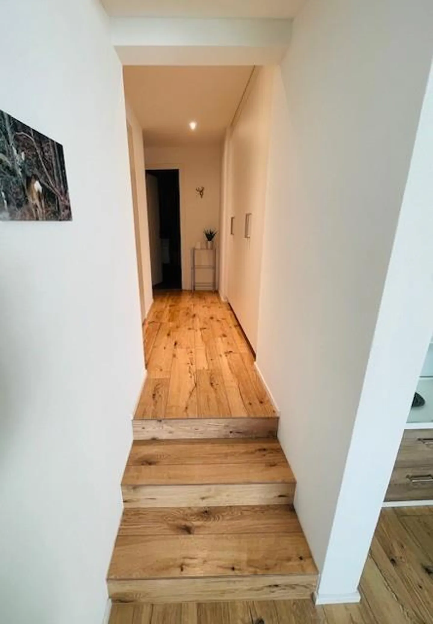 Modern 3.5-room apartment with two terraces - Photo 12 of 14