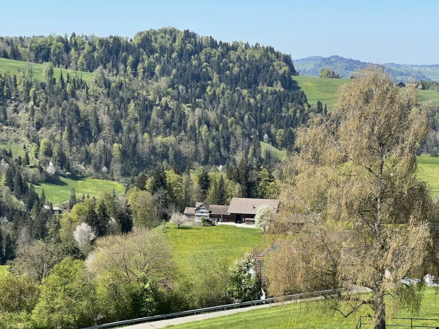 Charmantes Chalet in Mogelsberg - Foto 3 von 19