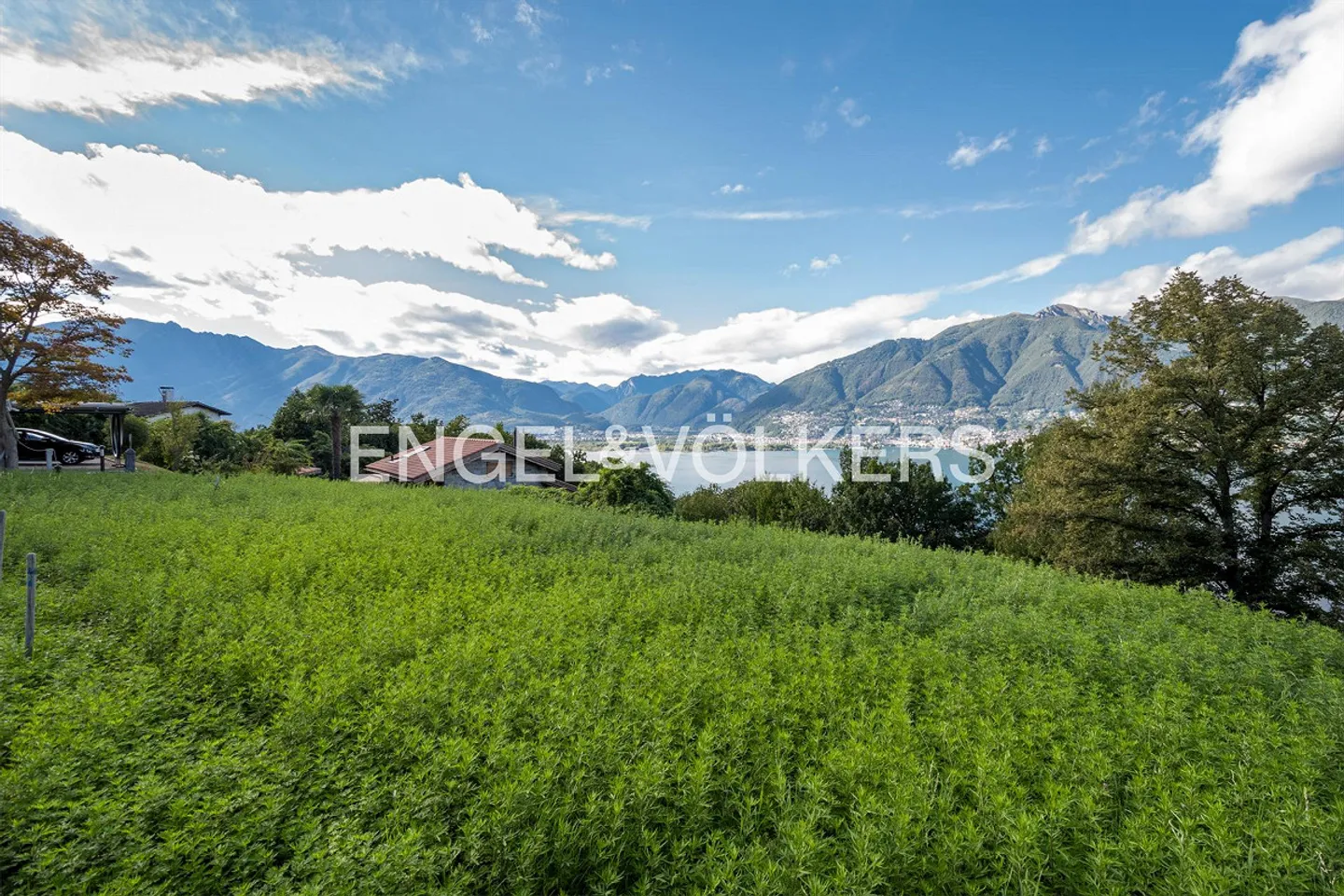 Idyllic plot with a view of Lake Maggiore (1) - Photo 1 of 4