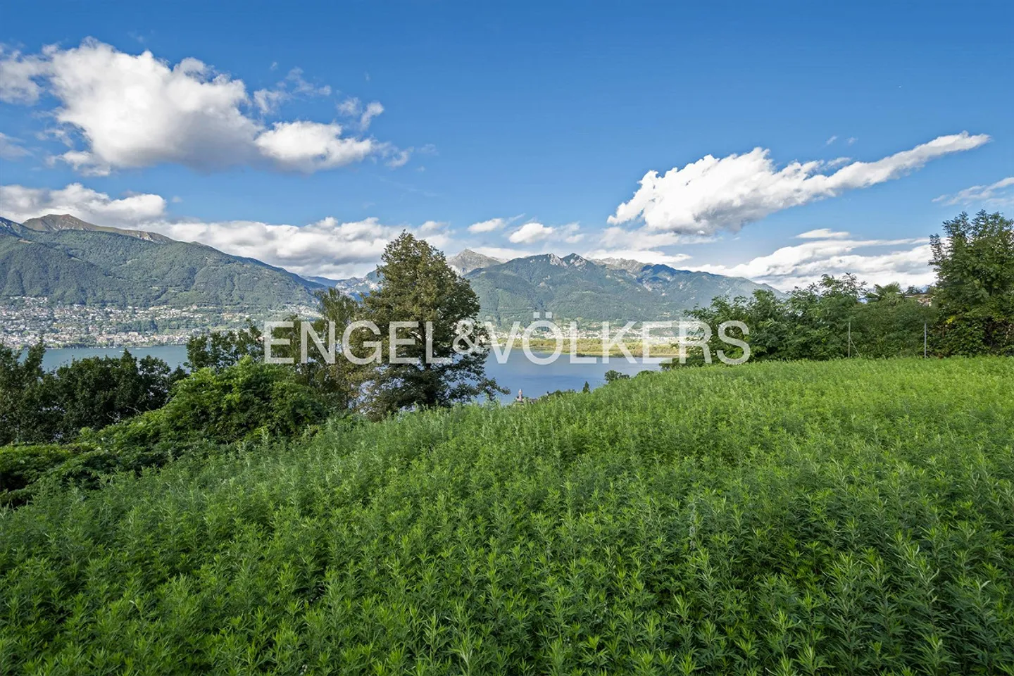 Idyllic plot with a view of Lake Maggiore (1) - Photo 2 of 4