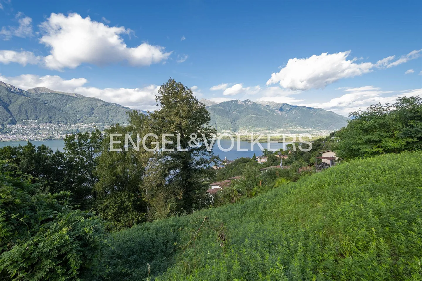 Idyllic plot with a view of Lake Maggiore (1) - Photo 3 of 4