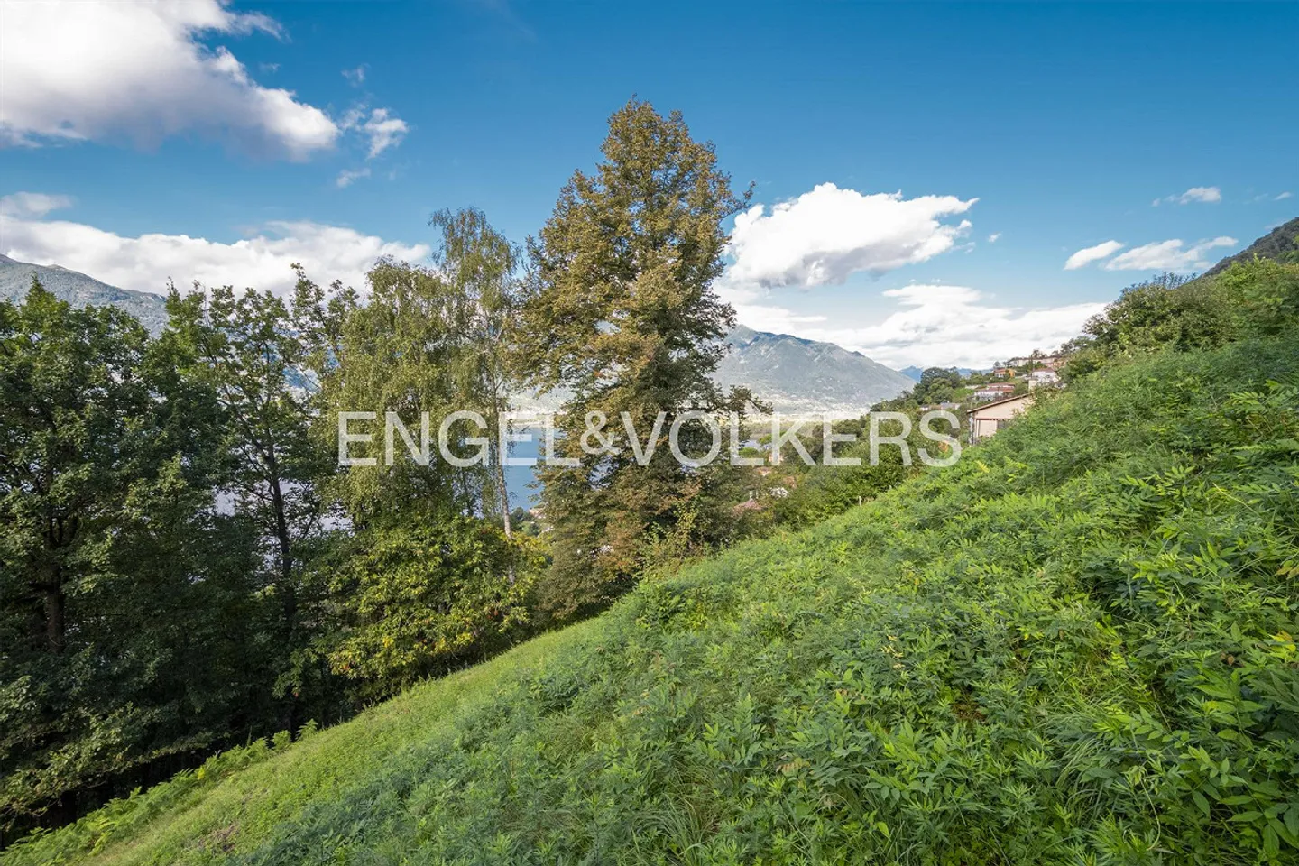 Idyllic plot with a view of Lake Maggiore (1) - Photo 4 of 4