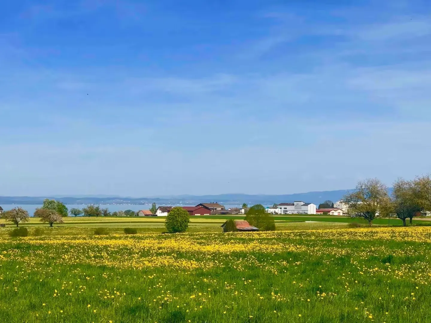 Modern 2½-room terraced house in Minergie standard with solar facade - Photo 12 of 13