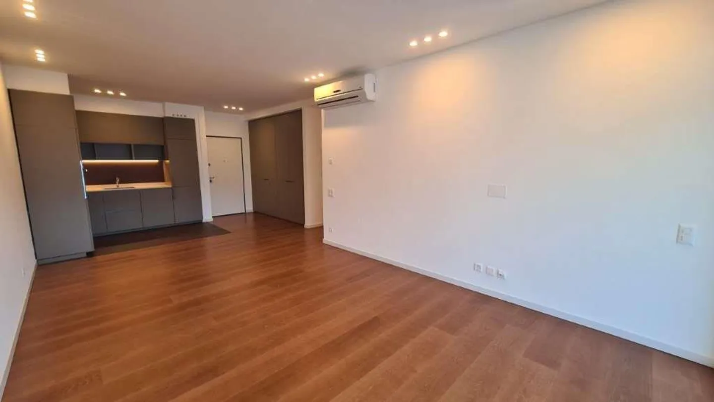 BISSONE: APPARTAMENTO REFINITO DI 2,5 STANZE CON VISTA LAGO - Foto 3 di 6