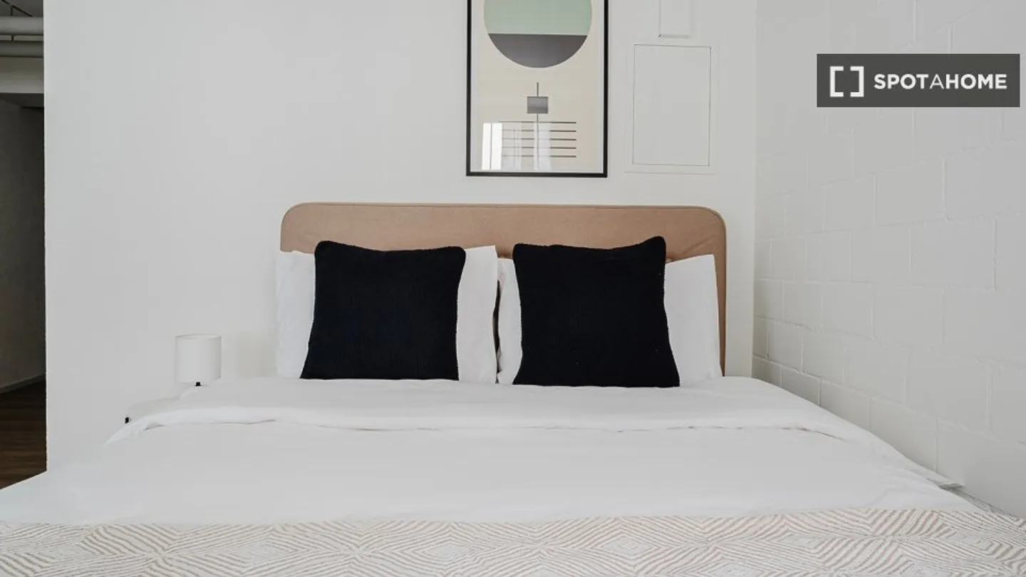 Studio in affitto - Foto 7 di 18