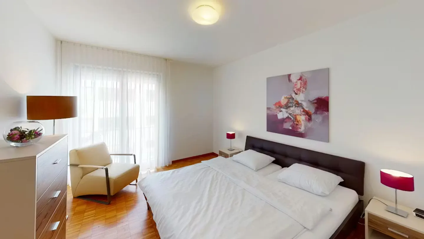 Modern Apartment in Basel - Photo 5 of 10