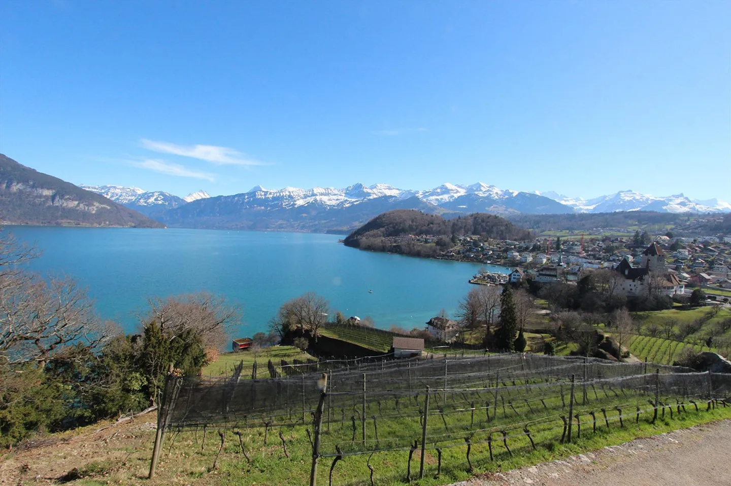 Individual 3.5-room new apartments in Spiez - Photo 6 of 7