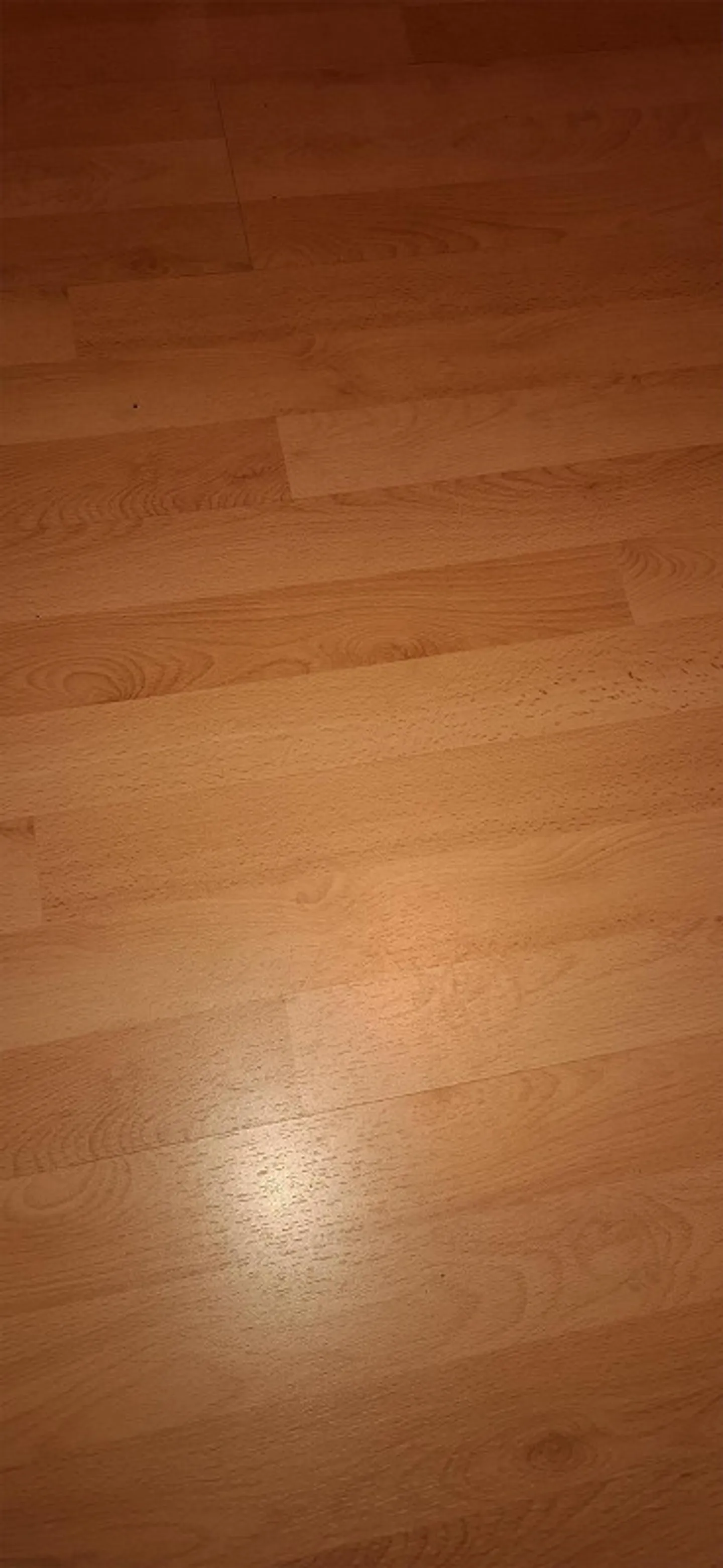 Chambres meublées à Münchwilen AG à louer - Photo 2 sur 2