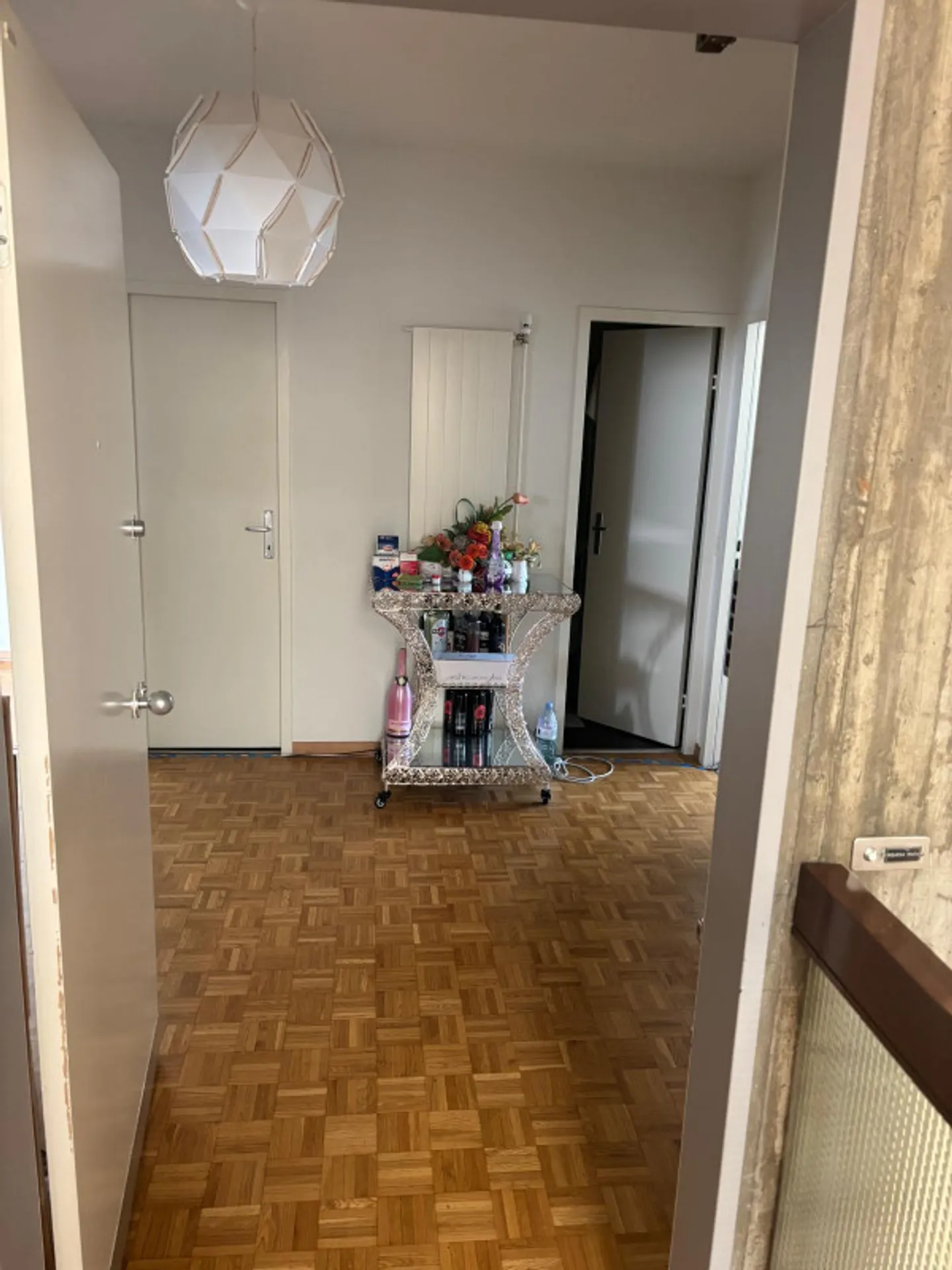 Apartment with 5 rooms in Vernier - Photo 1 of 10