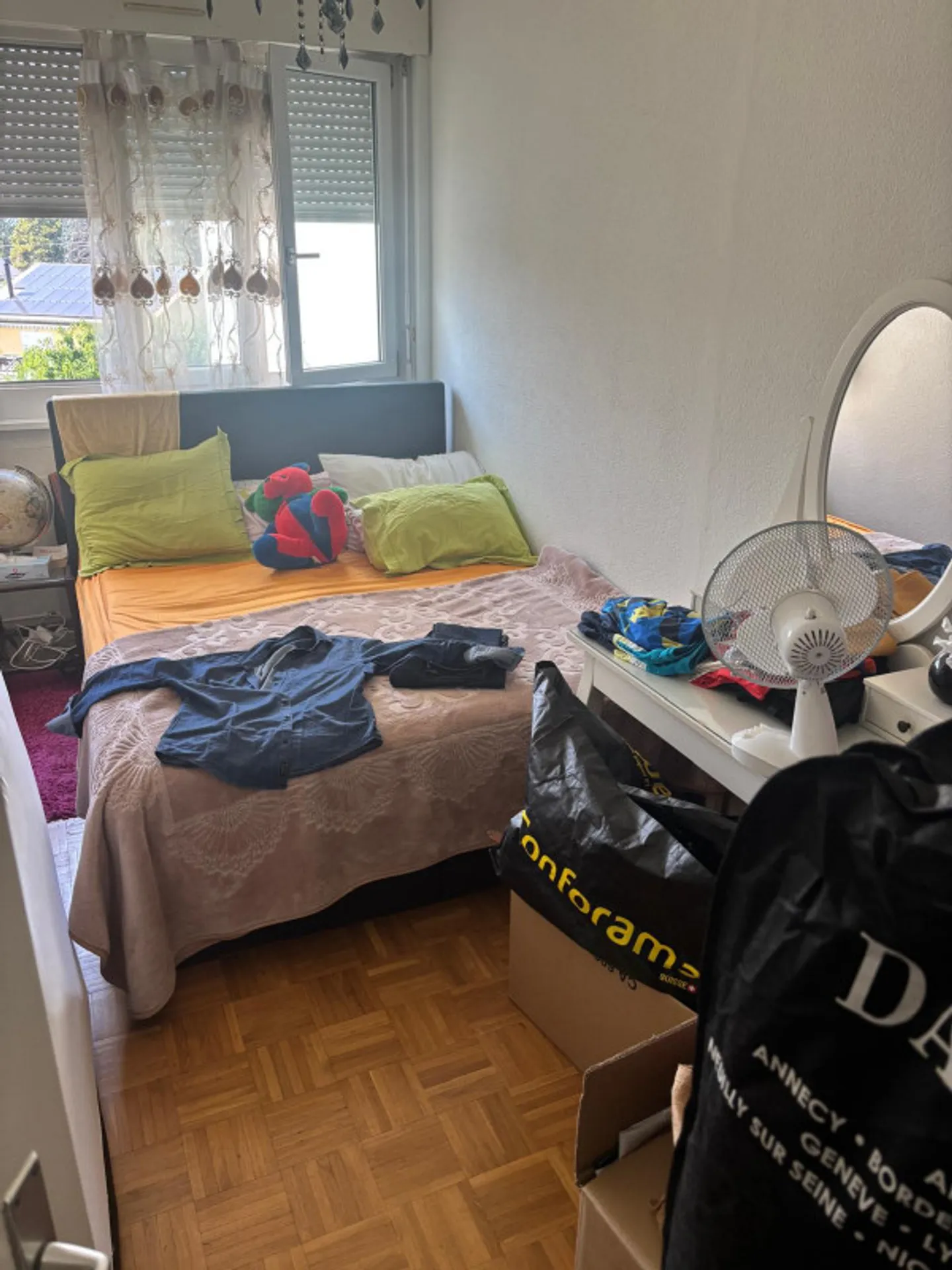 Apartment with 5 rooms in Vernier - Photo 5 of 10