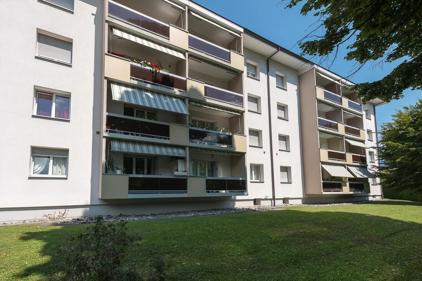 In affitto posto auto esterno su terreno privato - Foto 1 di 1