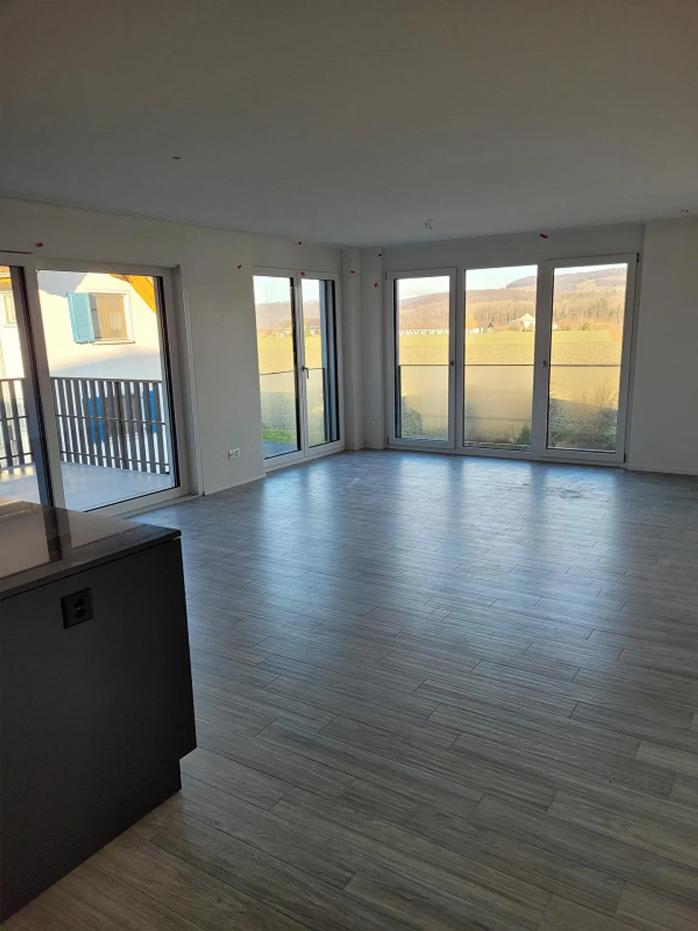 4 1/2-Room Apartment (New Building) - Photo 3 of 11