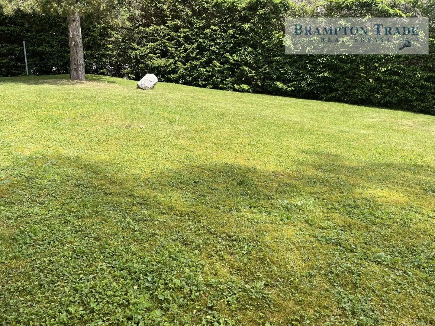 Propriété unique de 429m2 - St-Cergue - Photo 7 sur 13
