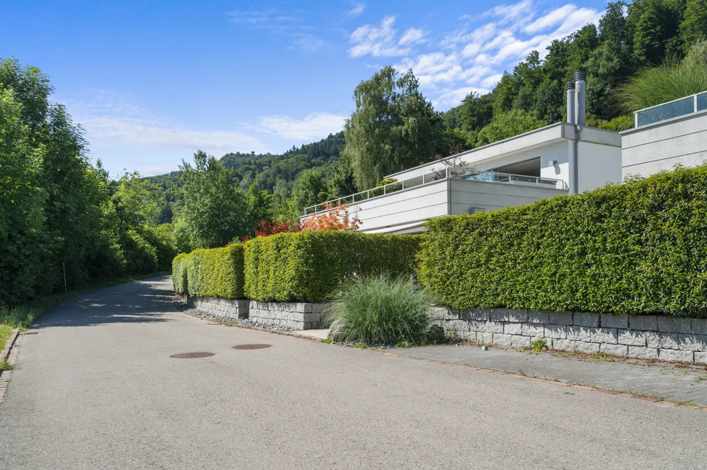 Appartamento elegante, grande e di alta qualità con 5.5 stanze in una posizione tranquilla - Foto 2 di 13