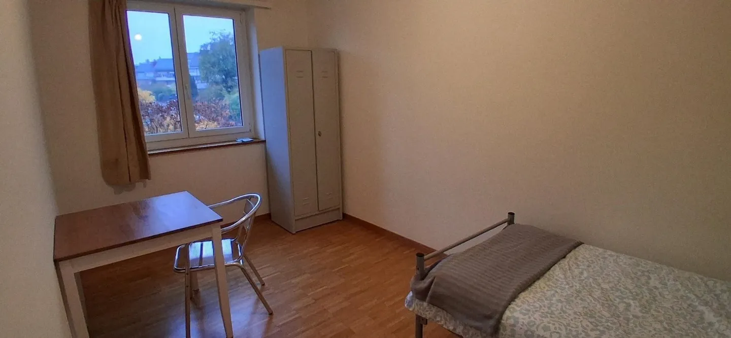 APPARTAMENTO 3 LOCALI A ZURIGO - DISTRETTO 7, ARREDATO, TEMPORANEO - Foto 8 di 10