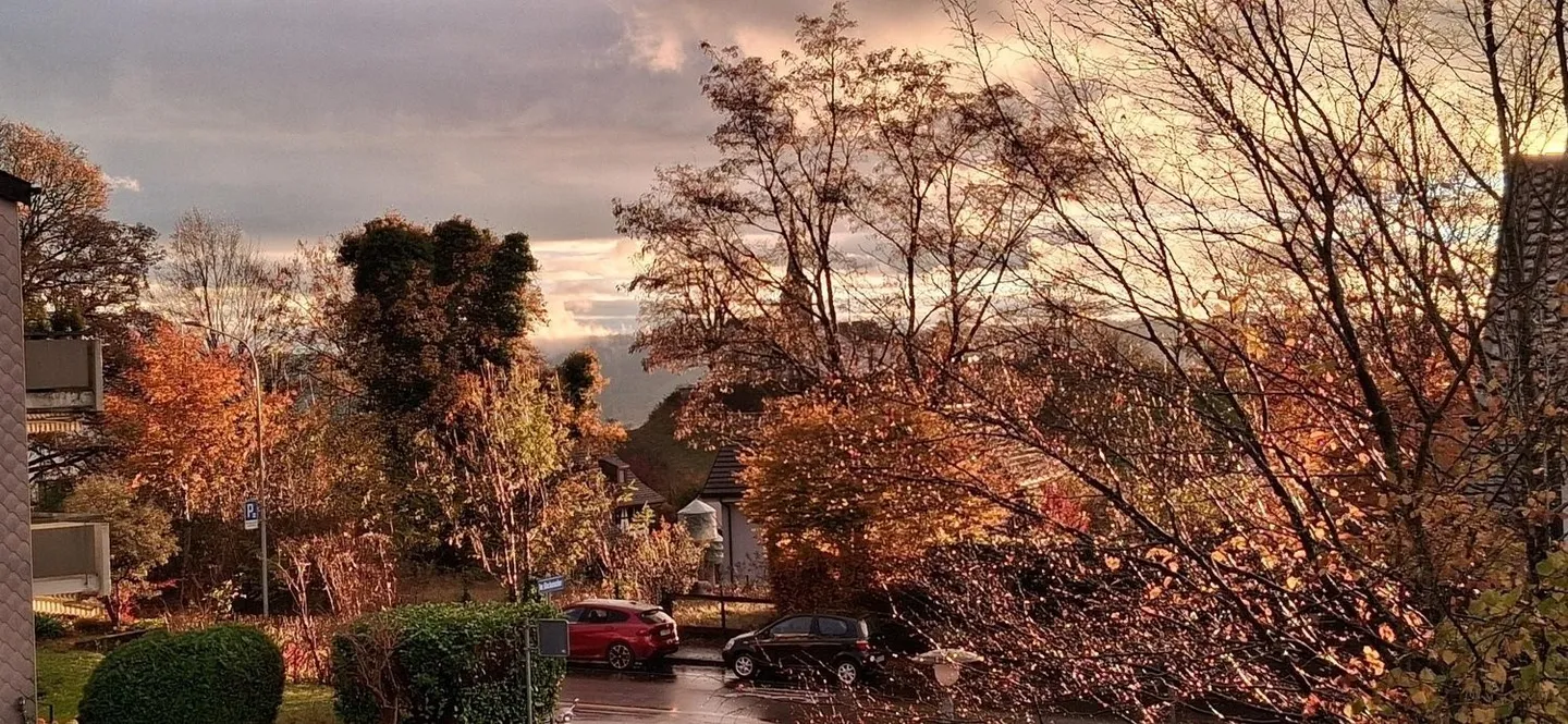 APPARTAMENTO 3 LOCALI A ZURIGO - DISTRETTO 7, ARREDATO, TEMPORANEO - Foto 5 di 10