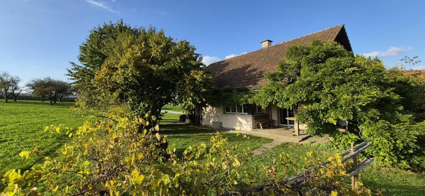 Living with a view of greenery - Photo 1 of 17