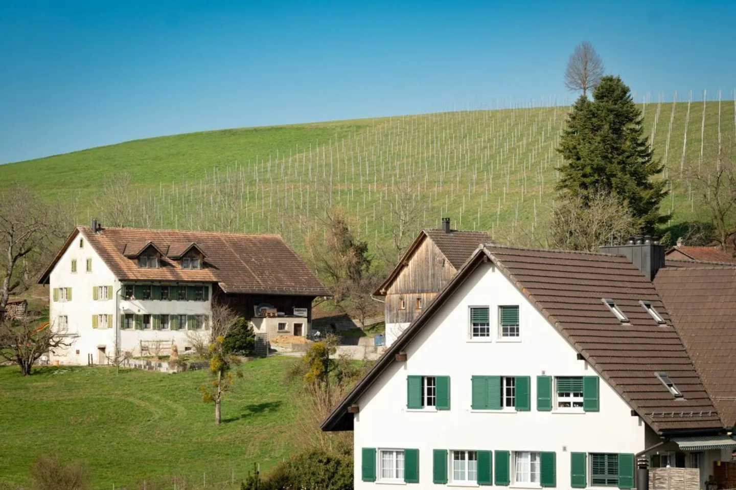 Maisons Charmantes à Ottikon - Photo 13 sur 15