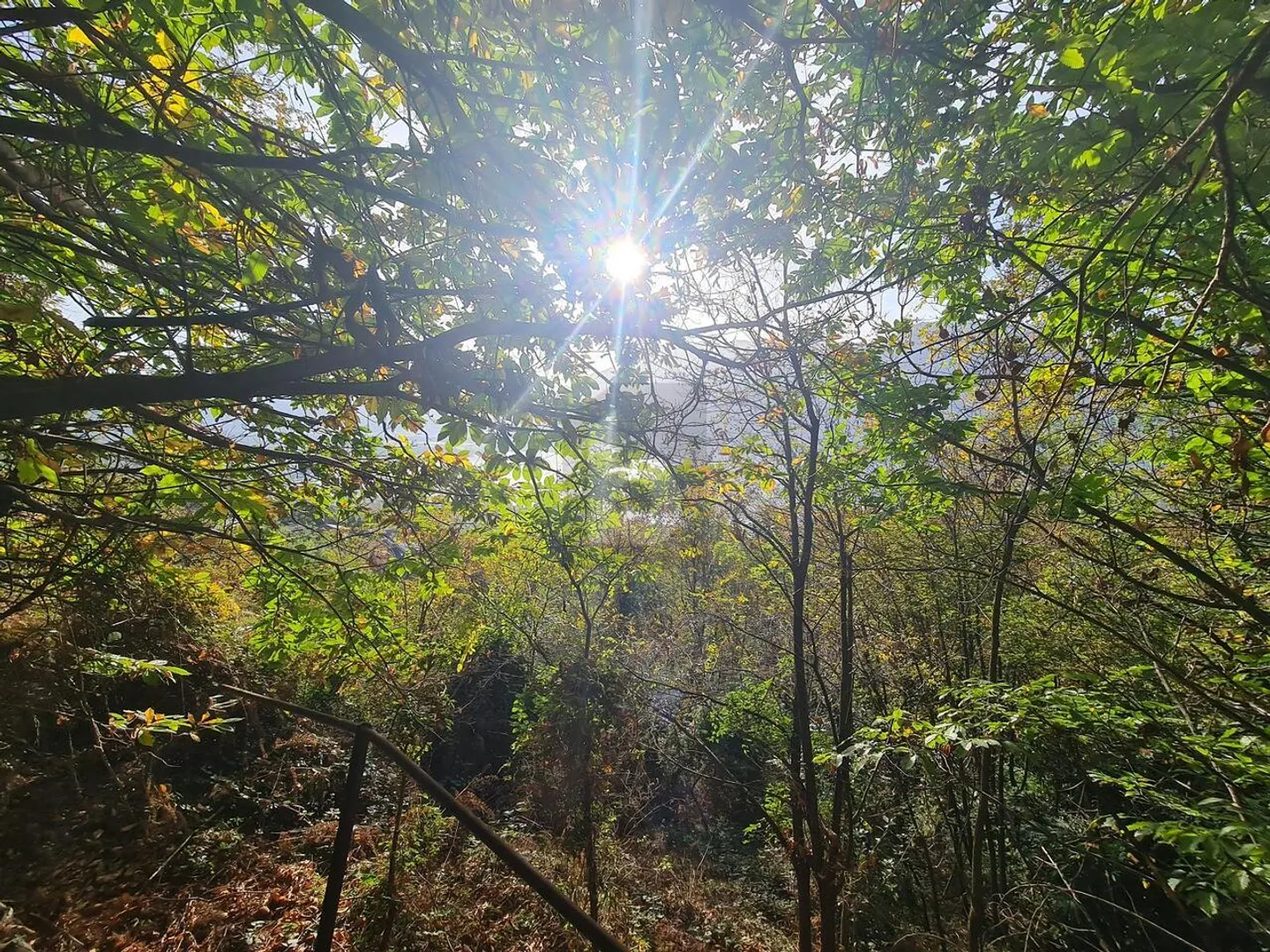 Proprietà Unica con Vista Spettacolare - Foto 3 di 4