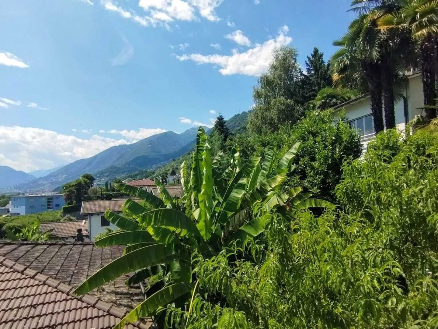 GORDOLA - Vendiamo un grande appartamento con piscina - Foto 26 di 26