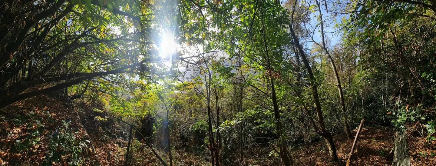 Proprietà Unica con Vista Spettacolare - Foto 1 di 4