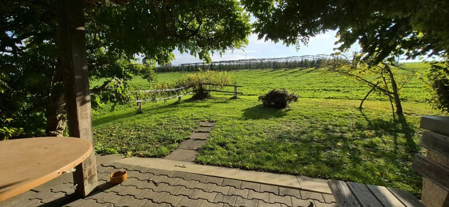 Living with a view of greenery - Photo 13 of 17