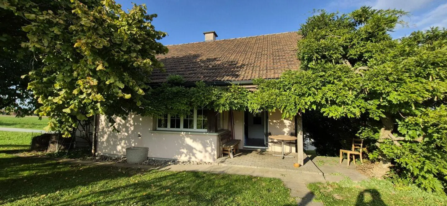 Living with a view of greenery - Photo 14 of 17