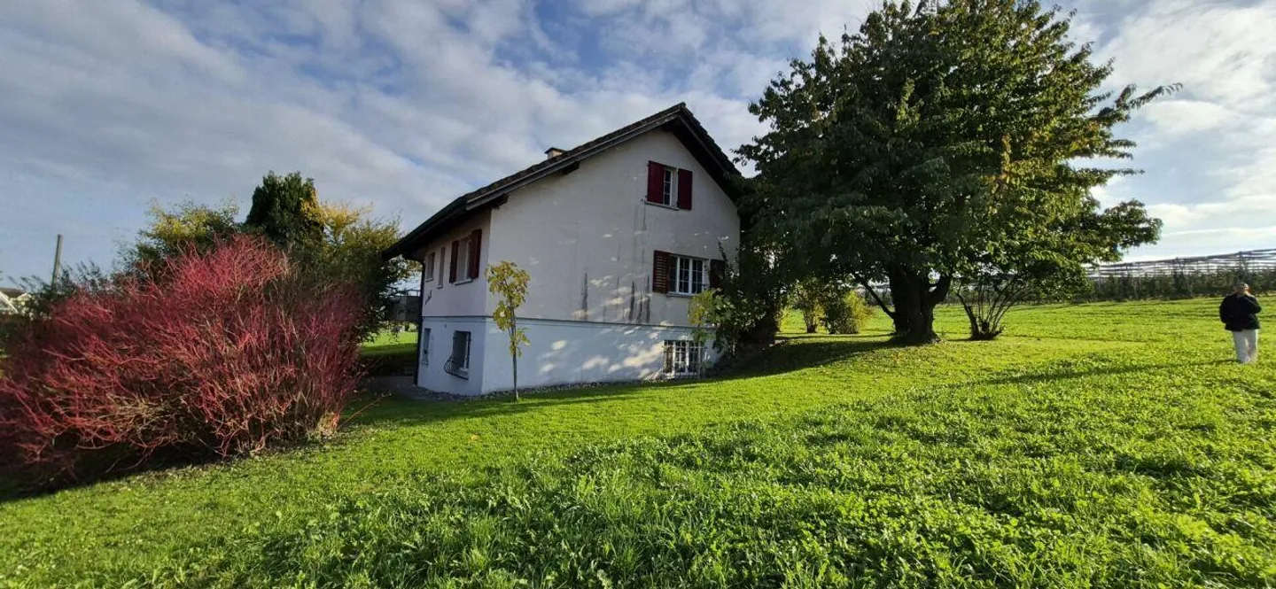 Living with a view of greenery - Photo 15 of 17