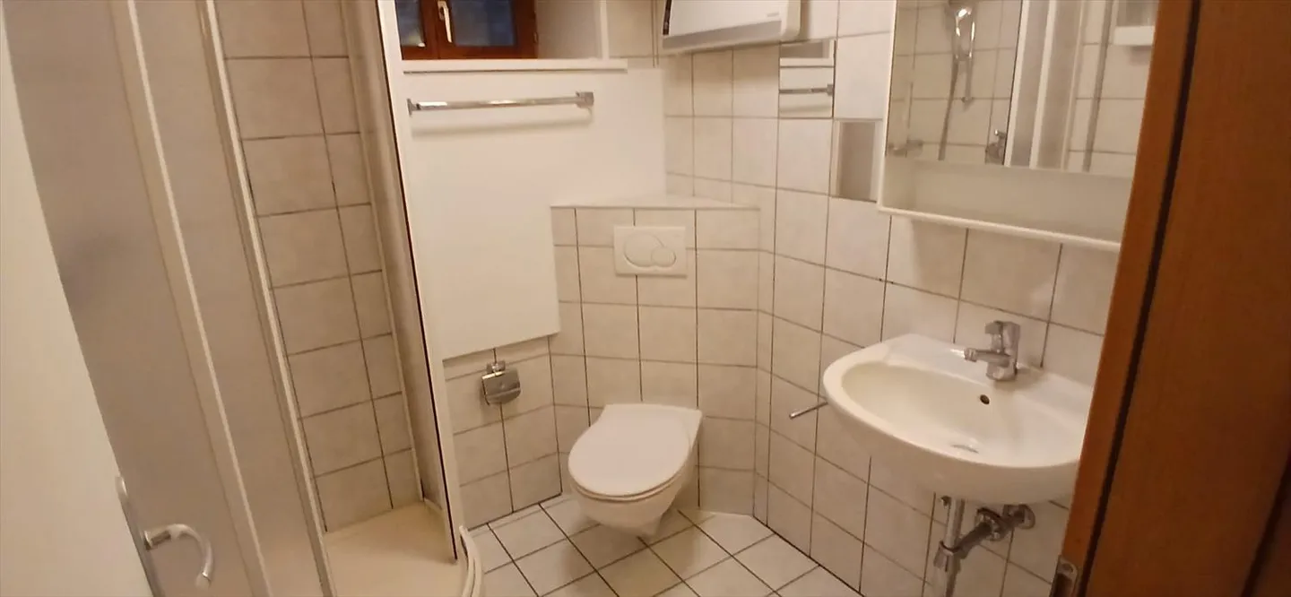 1.5 Room Apartment - Photo 3 of 6