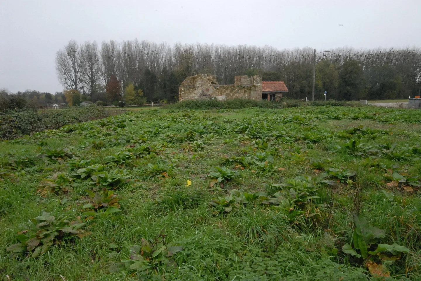 Zu verkaufen in Bey, Avenches, Grundstück von 1.035 m2 in einem Tourismus- und Freizeitgebiet - Foto 6 von 6