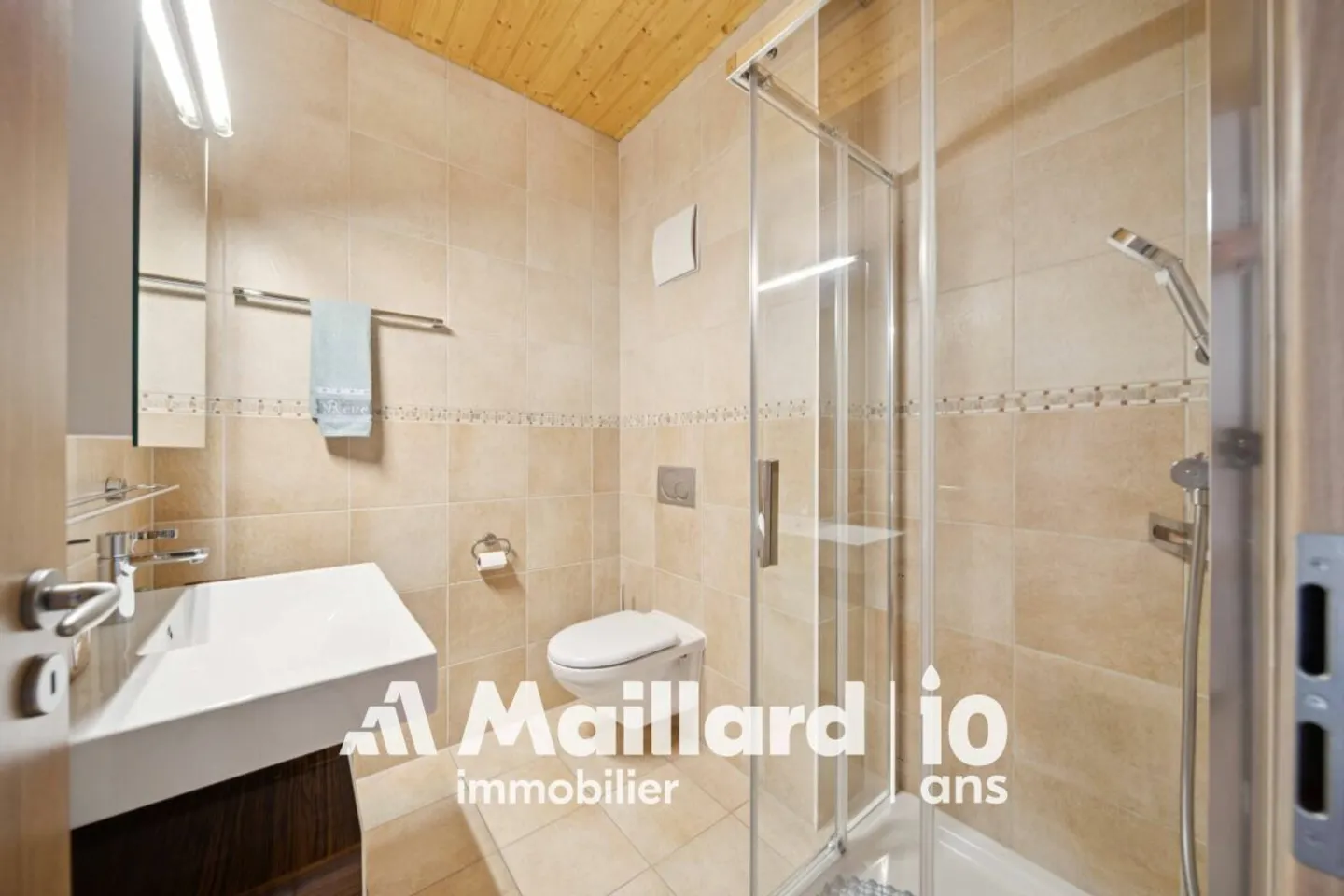 Yverdon - Villa affascinante con 5,5 stanze, zona tranquilla - Foto 11 di 15