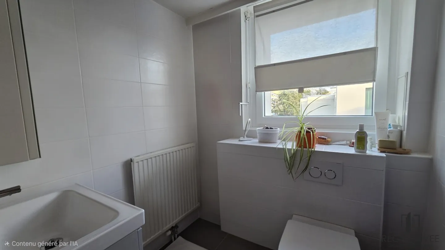 A 2 passi dal lago a Lutry!! Bel appartamento di 2 stanze - Foto 5 di 8