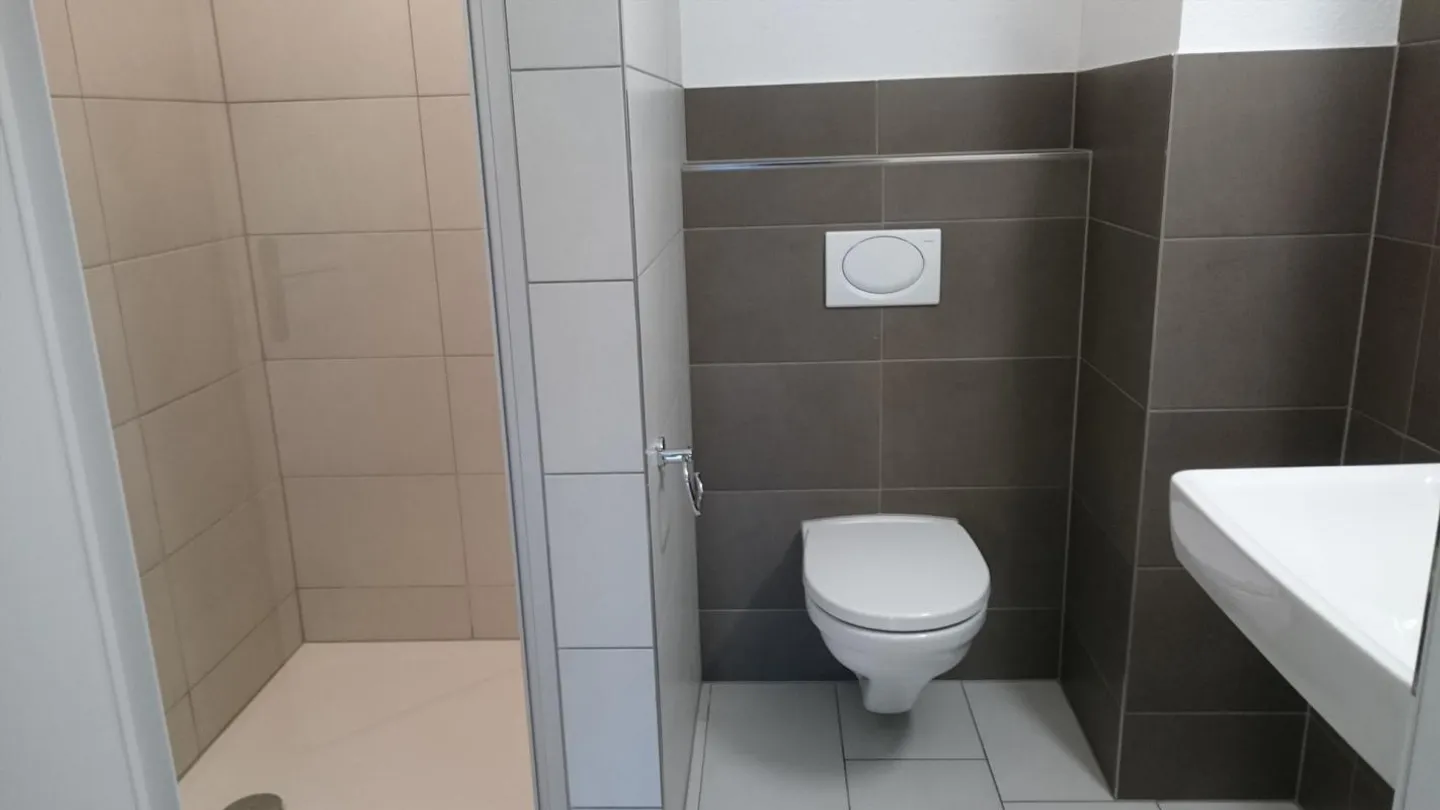 4.5 Room Minergie Apartment, own washing machine/dryer/comfort ventilation - Photo 7 of 11