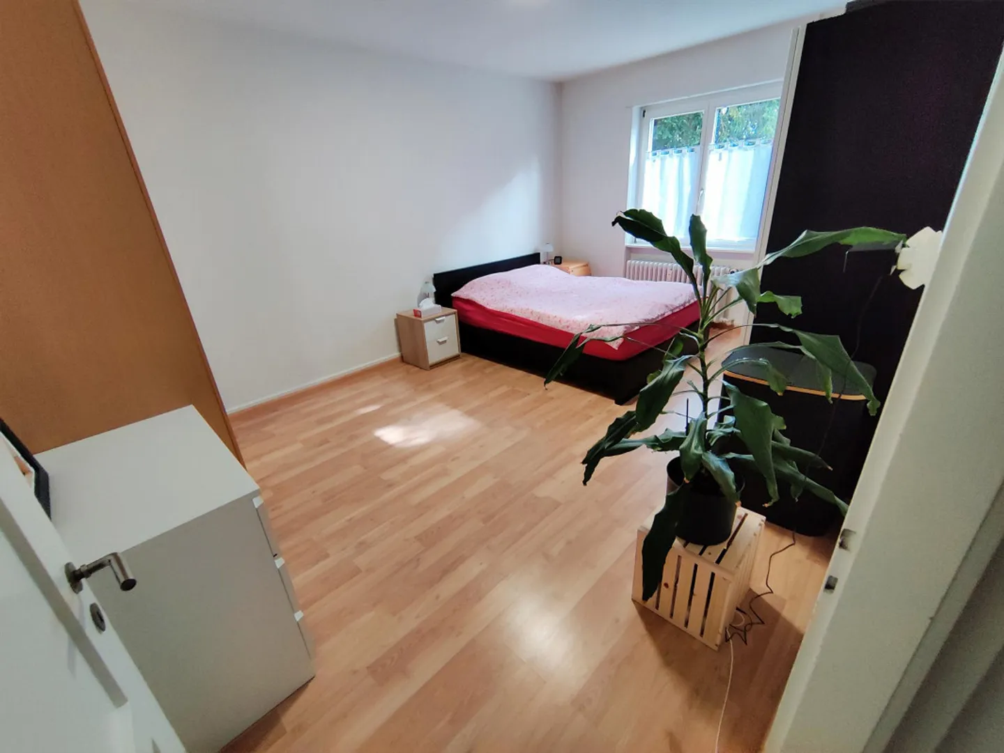 Looking for a new tenant: 3-room apartment on the ground floor (EG), 70 m² - Photo 3 of 14