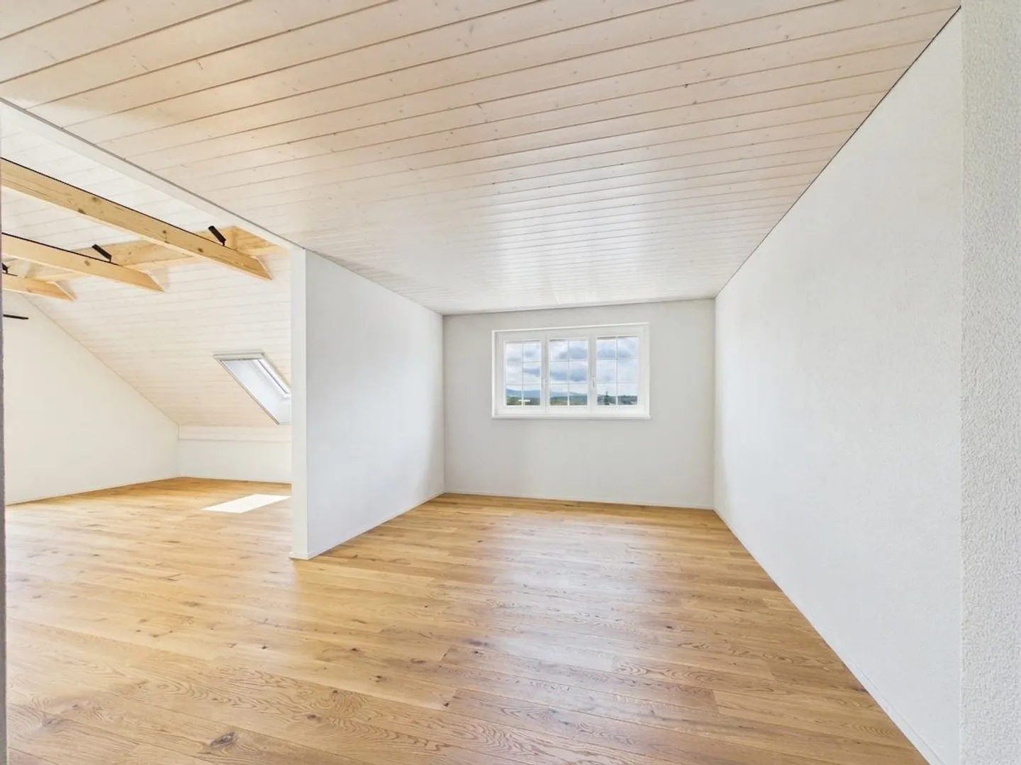 Stunning Attic Apartment with Alpine View - Photo 10 of 13