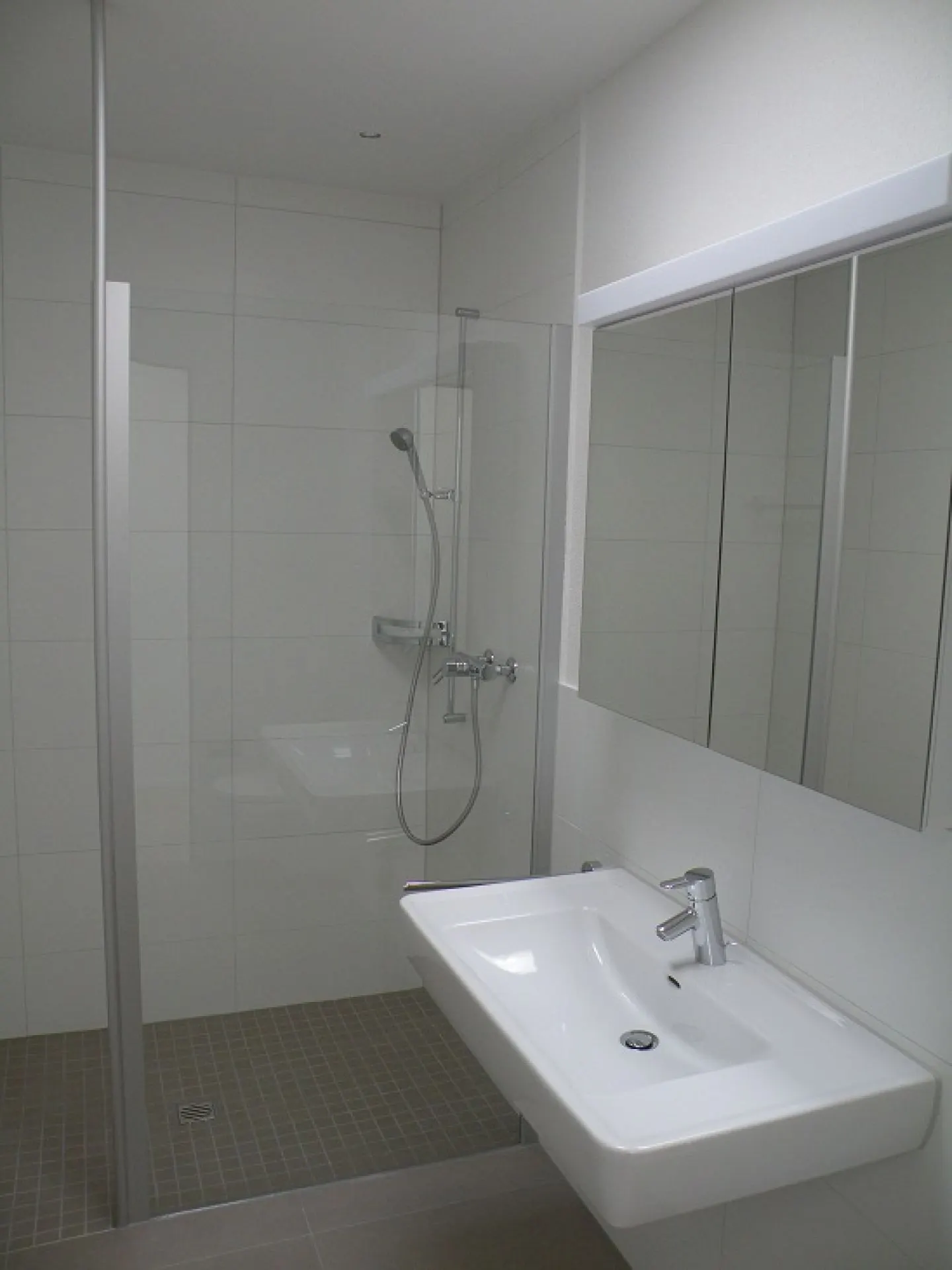 Appartamento 3.5 stanze nel Central Park - Foto 5 di 7
