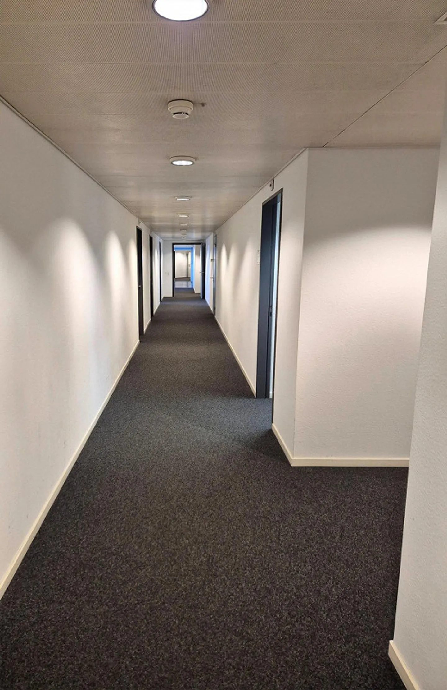 Proximité de la gare. Espaces généreux. Structure de pièce efficace. - Photo 2 sur 3