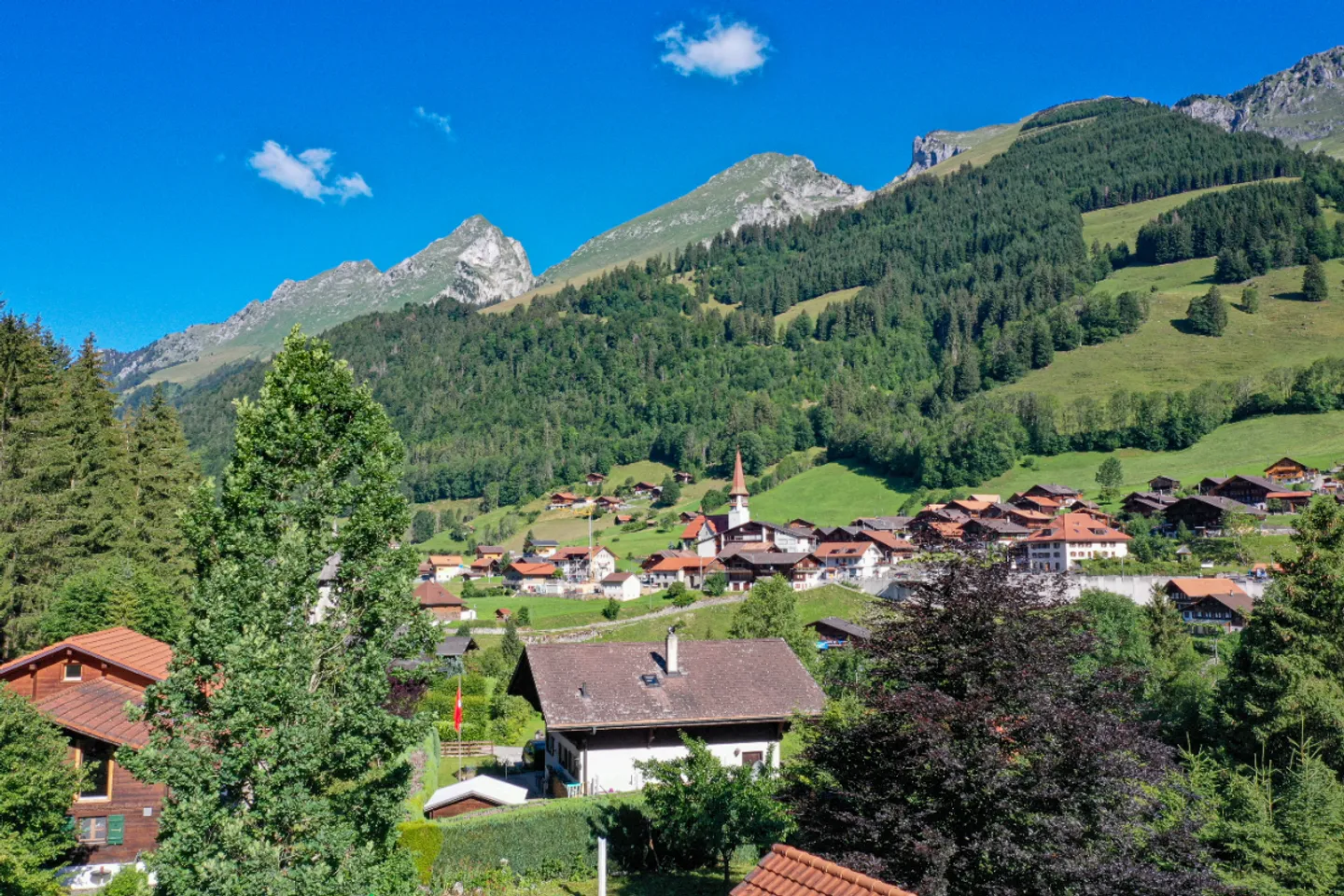 Neues und contemporänes Chalet in einer grünen Umgebung - Foto 4 von 7