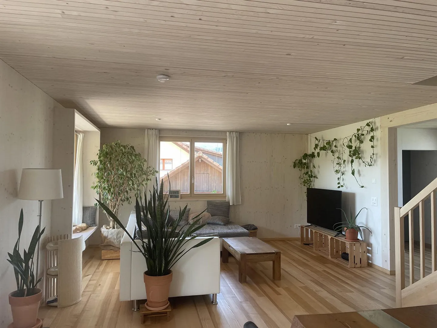 House share looking for roommate - Photo 7 of 9