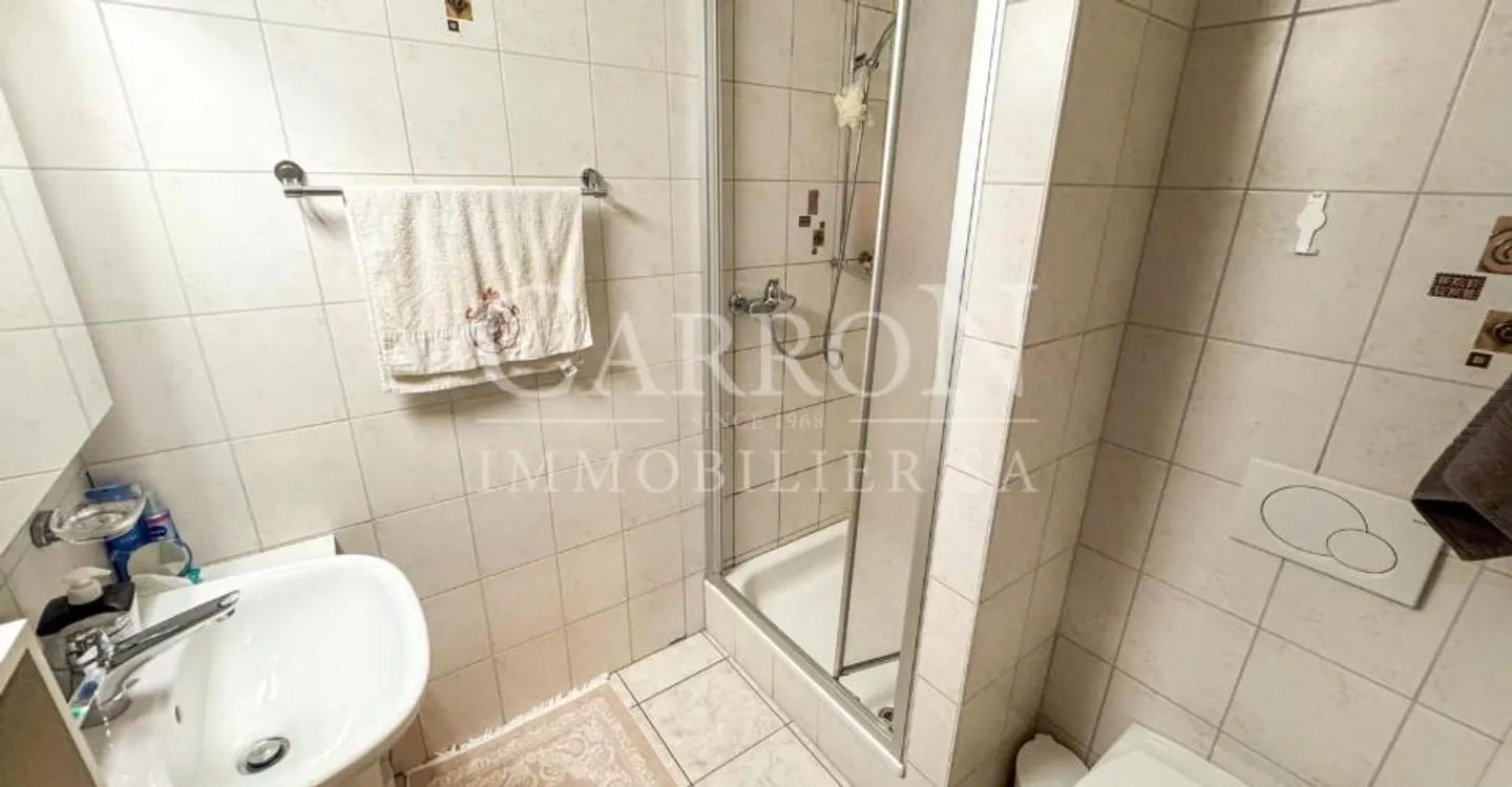 Helles 4.5-Zimmer Appartement in Sion - Foto 7 von 9