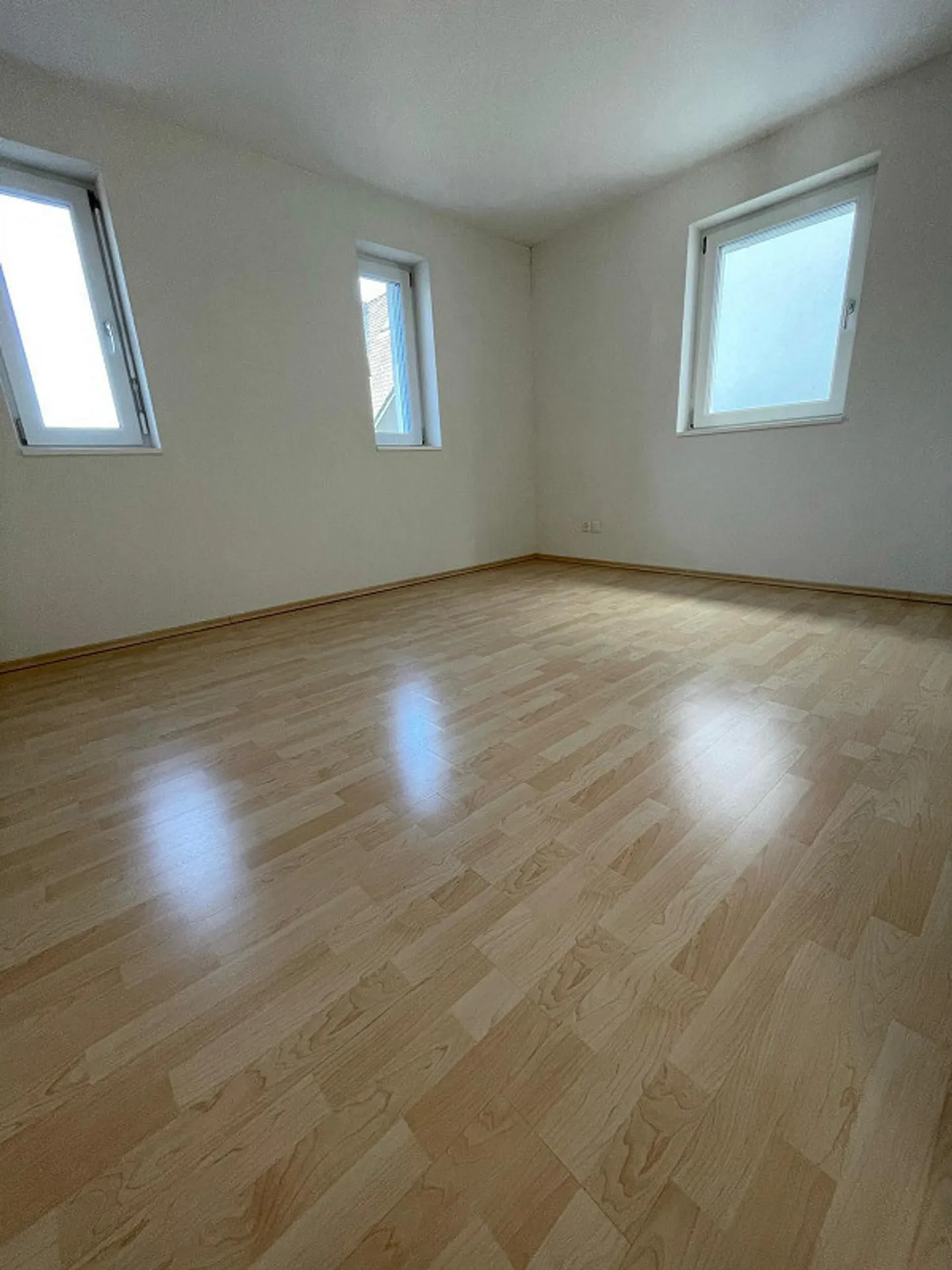 3.5 Room Apartment - Photo 5 of 8