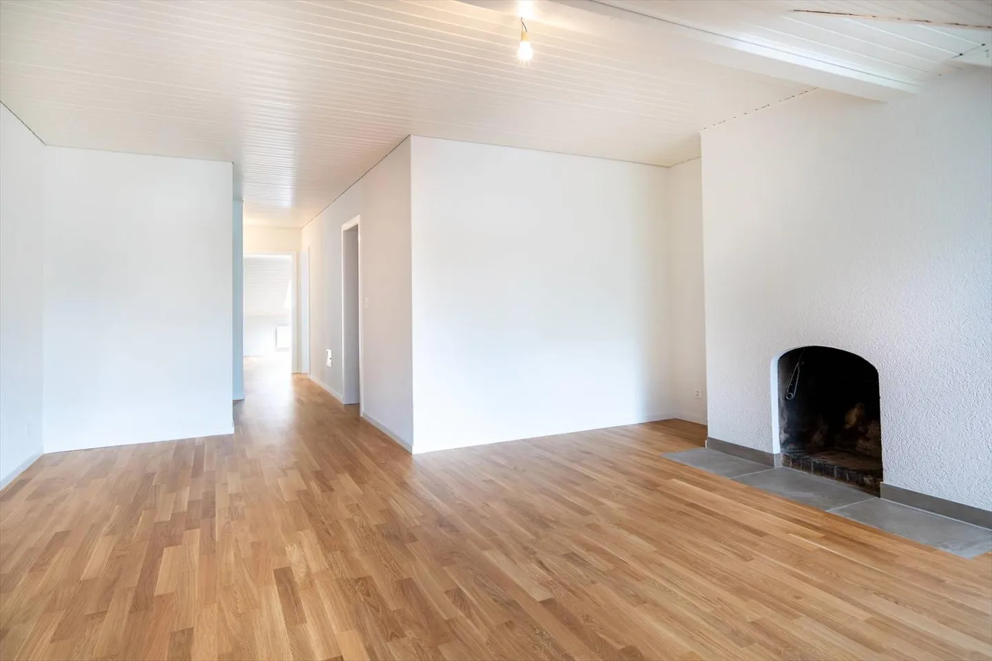 Charming 3.5 Room Apartment Renovated - Photo 2 of 9