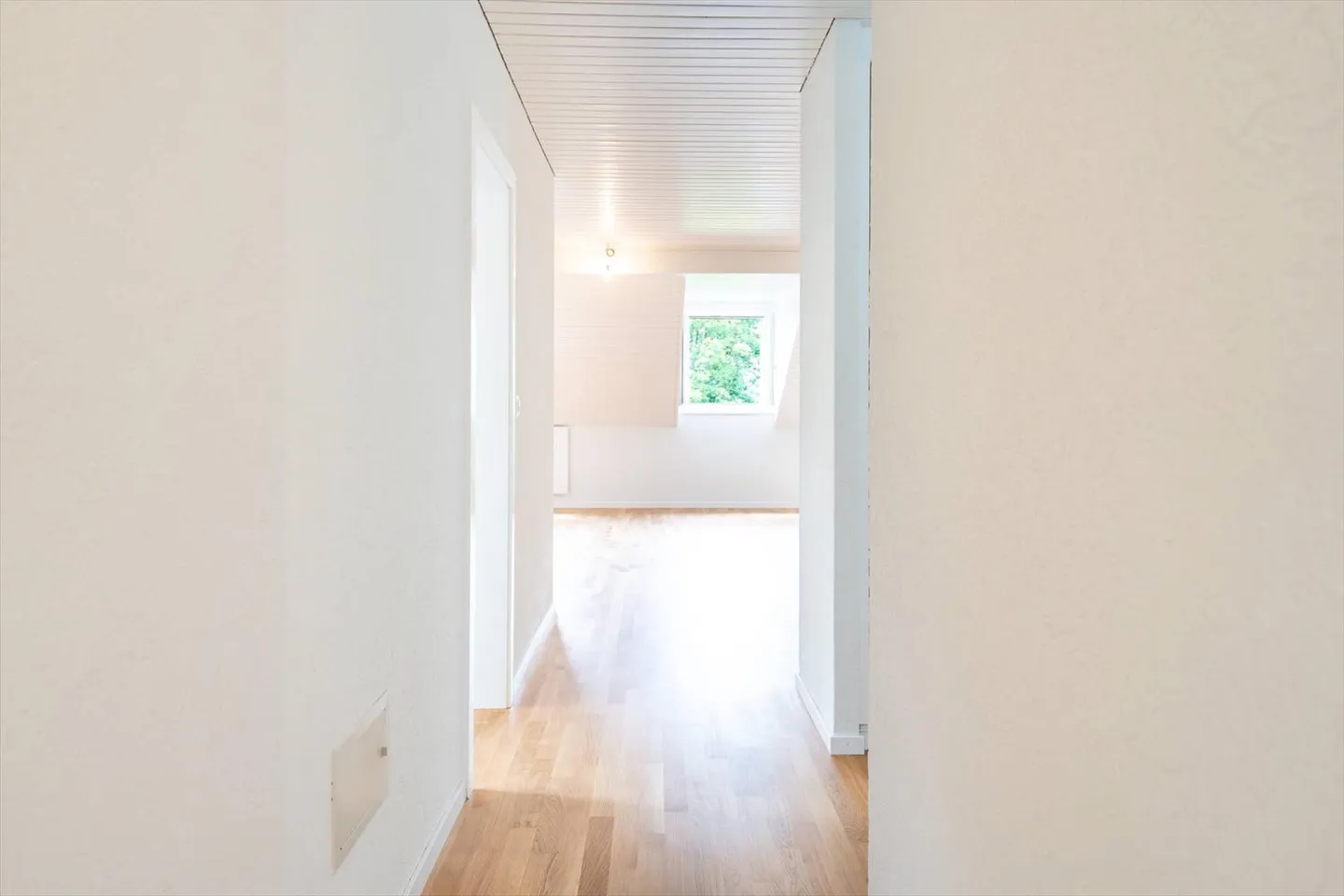 Charming 3.5 Room Apartment Renovated - Photo 6 of 9