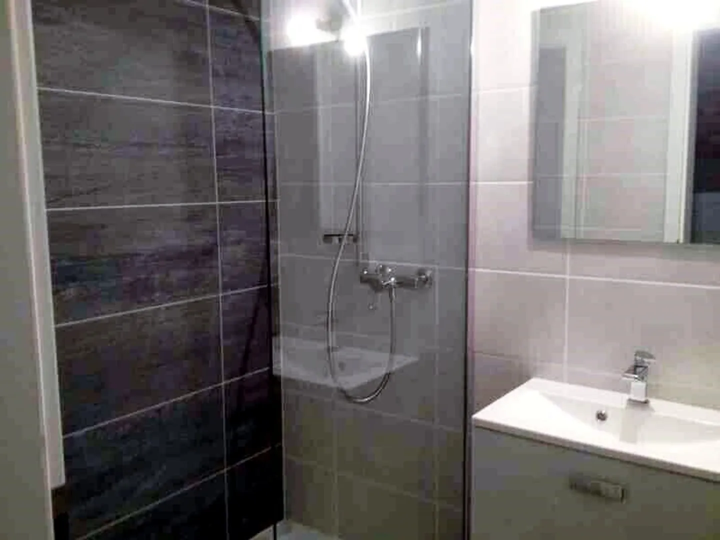 STUDIO IN LAUSANNE - PULLY, FURNISHED - Photo 3 of 5