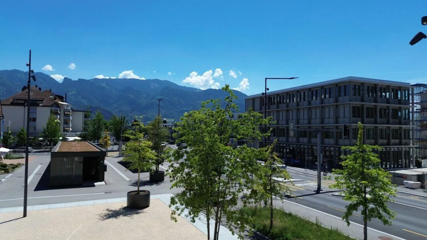 Développement du centre Diepoldsau : Espace pour vos visions - Prêt à emménager... - Photo 9 sur 16