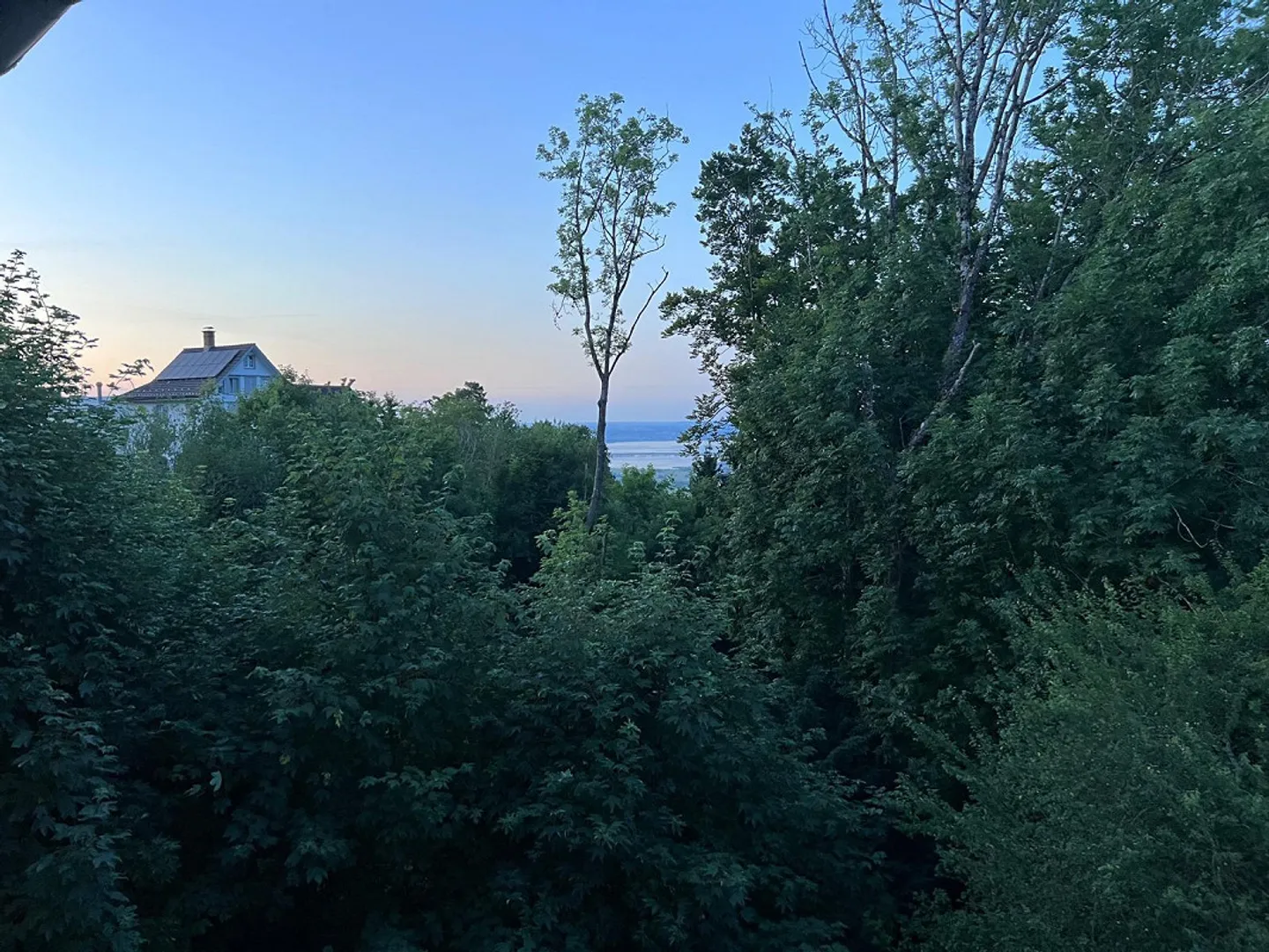Incantevole appartamento di 2.5 locali - vicino alla natura e conveniente - Foto 6 di 7
